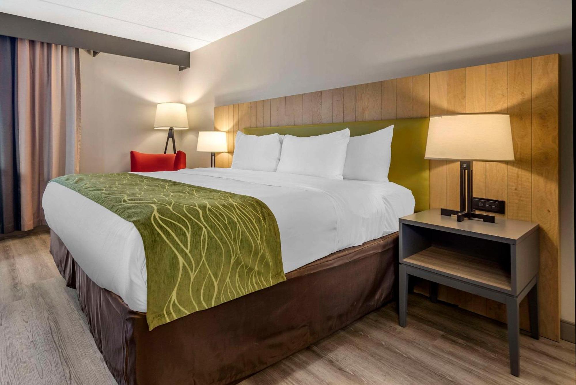 Comfort Inn & Suites Liverpool - Syracuse North Buitenkant foto